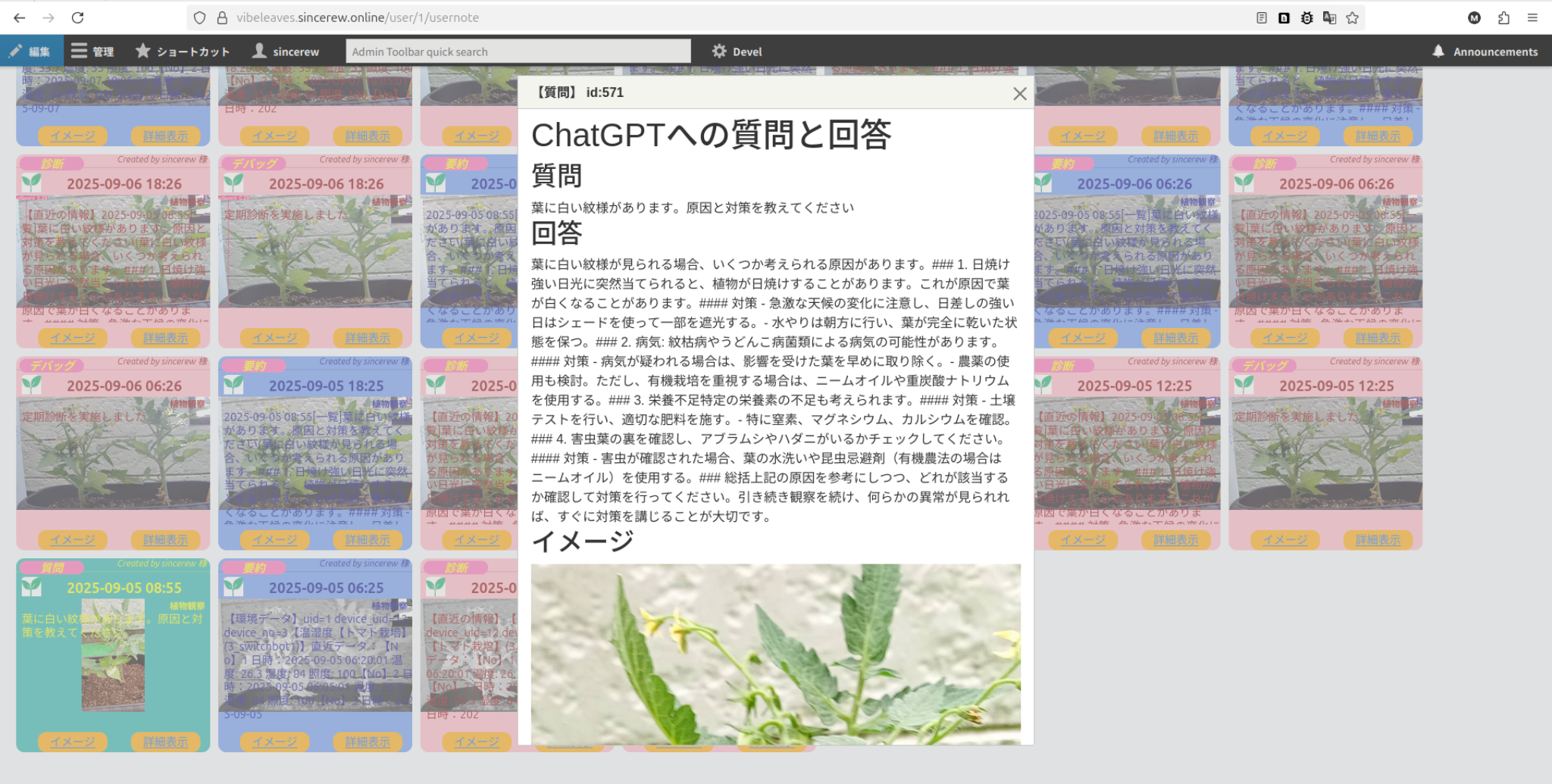 ChatGPT診断結果のモーダル表示